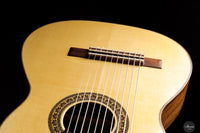 Heikki Rousu - 2025 No. 486 10-string