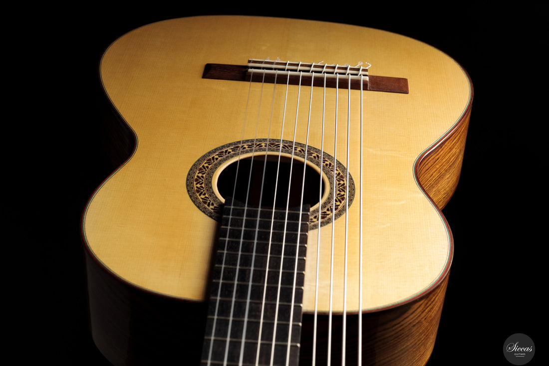 Heikki Rousu - 2025 No. 486 10-string