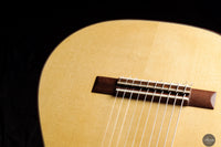 Heikki Rousu - 2025 No. 486 10-string