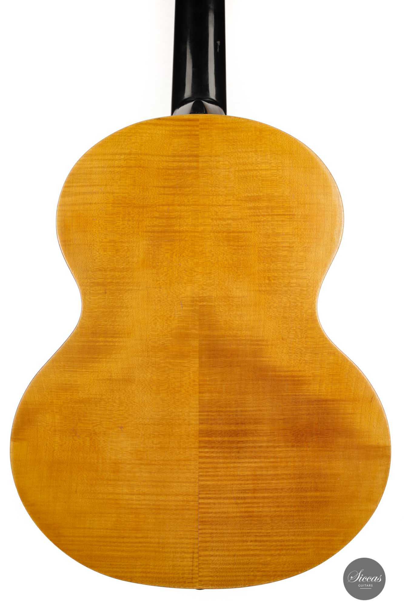 Hermann Hauser® I - 1925 62 cm