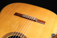 Hermann Hauser® II - 1954