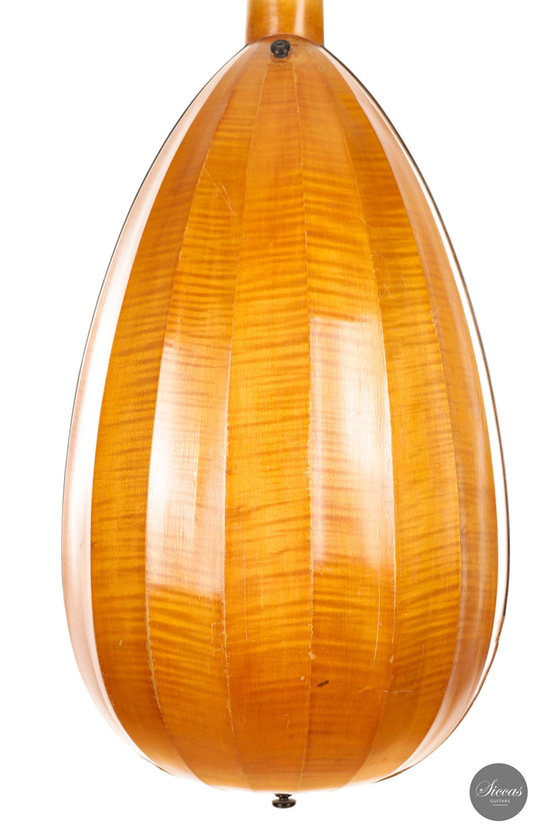 Hermann Hauser® I - Lute 1924