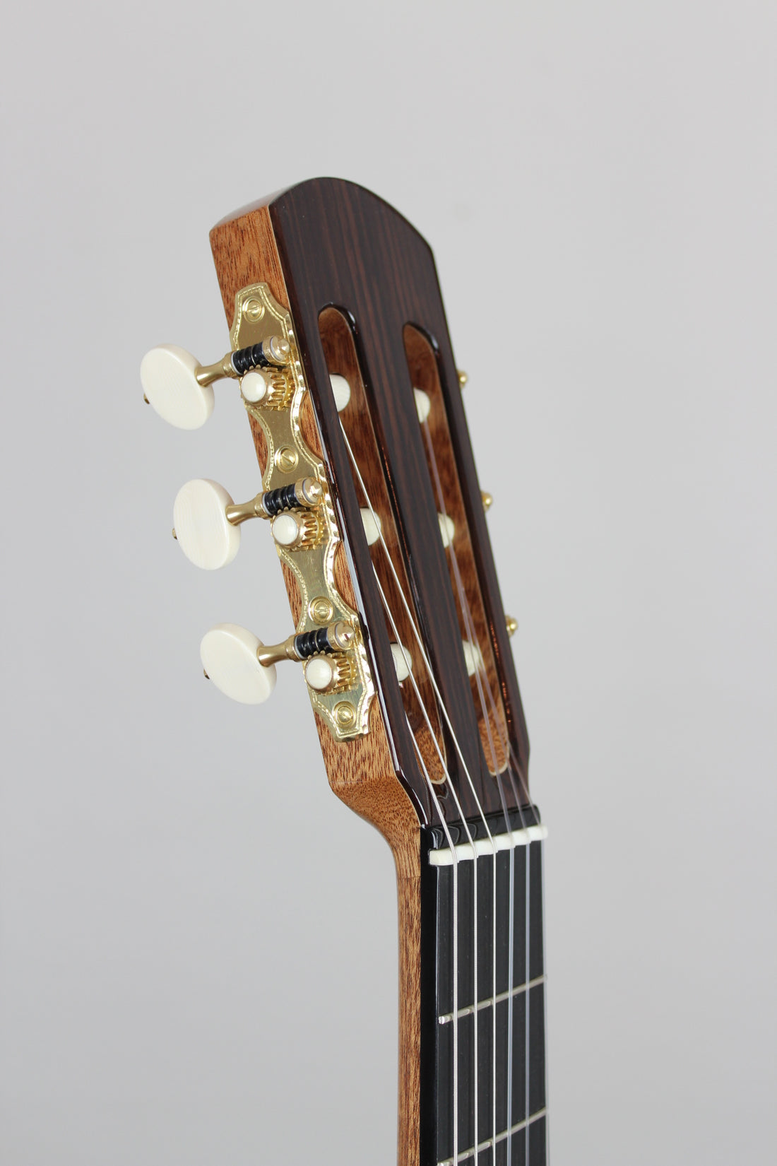Roy Fankhänel – Special Edition 2015