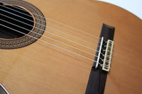 Altamira - N300