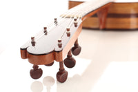 Guillermo Aguer - 2016