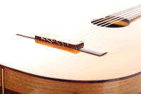 Guillermo Aguer - 2016