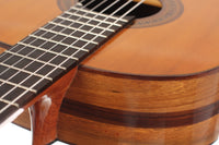 Guillermo Aguer - 2016