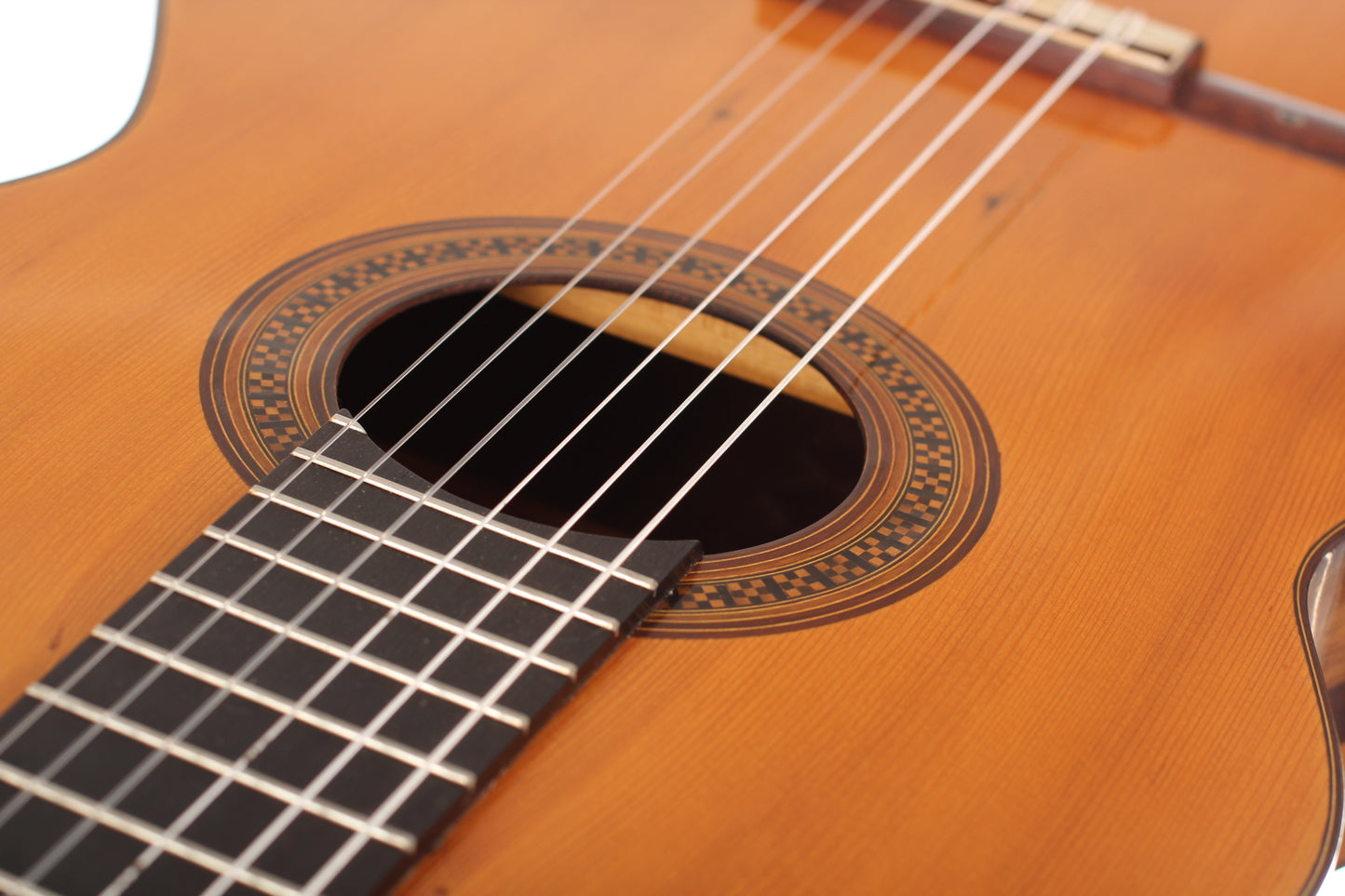 Guillermo Aguer - 2016