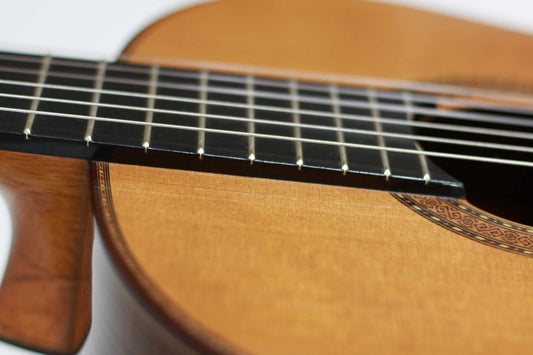 Paulino Bernabé – 2010 img-2