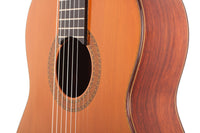 Paulino Bernabé – Concierto 2010