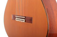 Paulino Bernabé – Concierto 2010