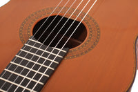 Paulino Bernabé – Concierto 2010