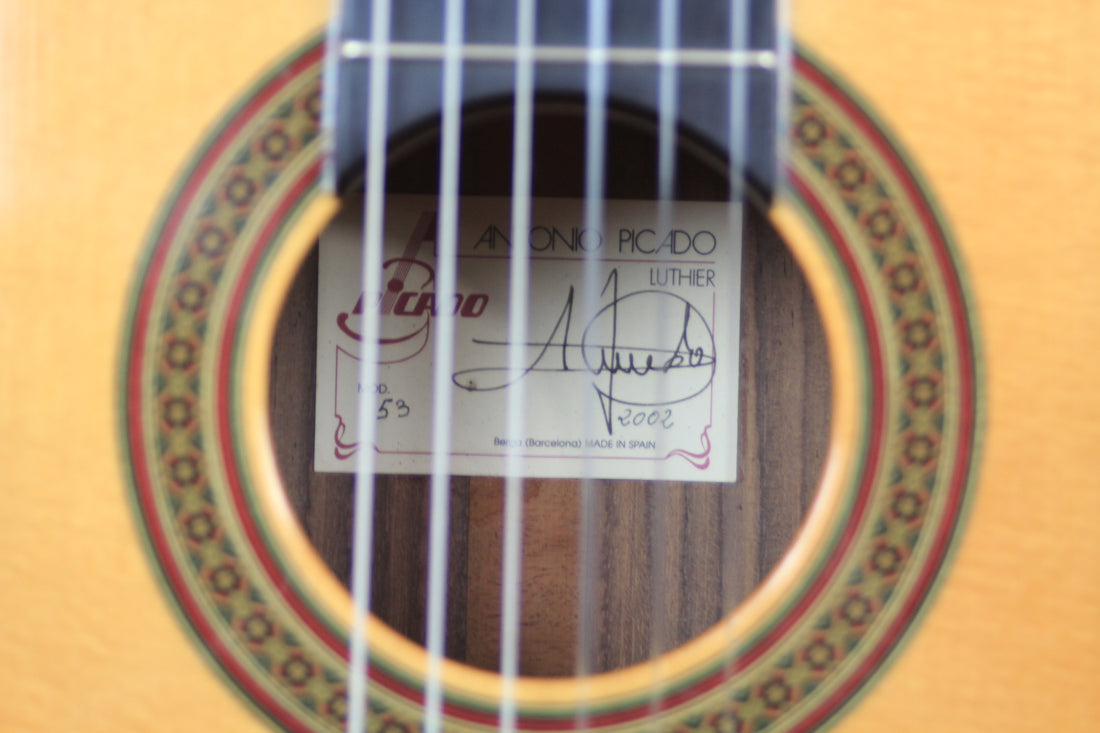 Antonio Picado No. 53 - 2002