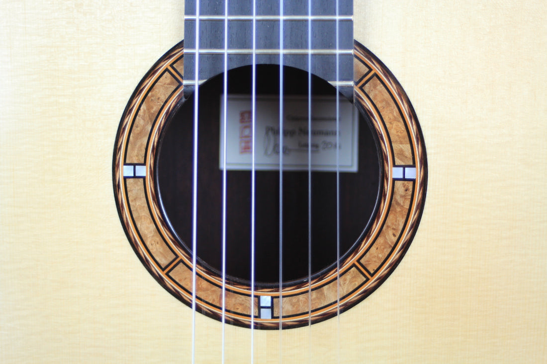 Philipp Neumann - Siccas Guitars Edition 2014