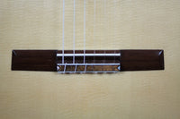 Philipp Neumann - Siccas Guitars Edition 2014