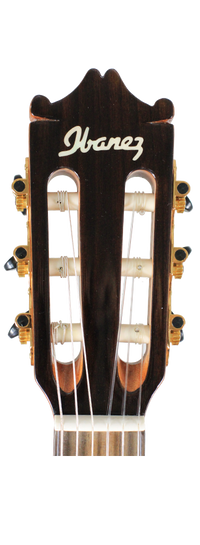Ibanez - GM600CE-NT