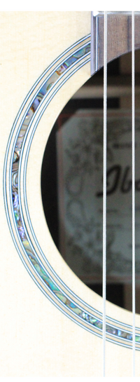 Ibanez - GM600CE-NT
