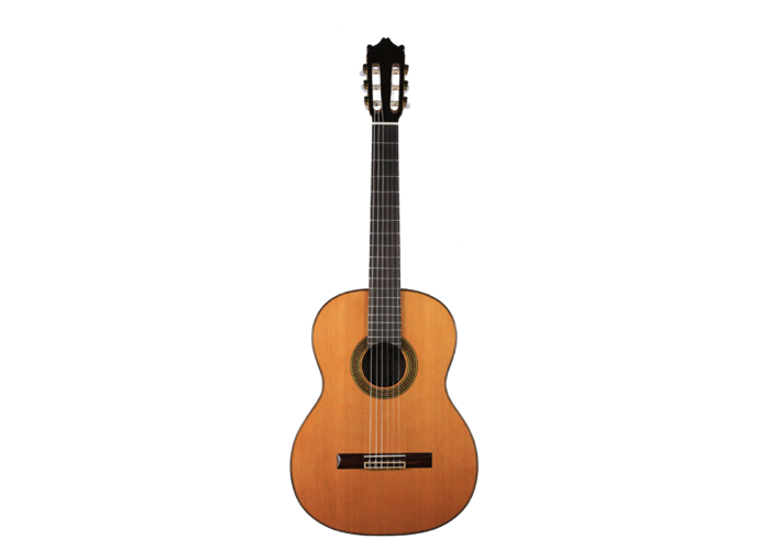 Ibanez - G300-NT