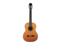 Ibanez - G300-NT