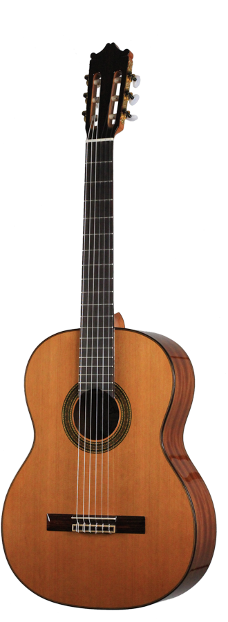 Ibanez - G300-NT