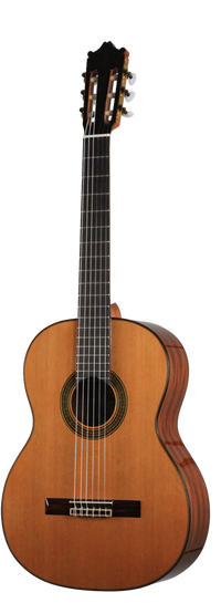 Ibanez - G300-NT