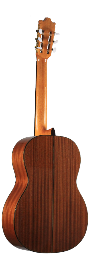 Ibanez - G300-NT