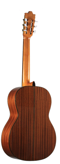 Ibanez - G300-NT