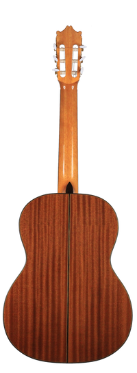 Ibanez - G300-NT