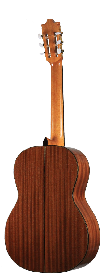 Ibanez - G300-NT