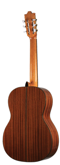 Ibanez - G300-NT