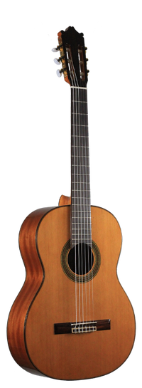Ibanez - G300-NT