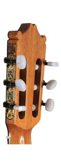 Ibanez - G300-NT