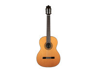 Ibanez - G500-NT