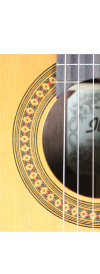 Ibanez - G500-NT