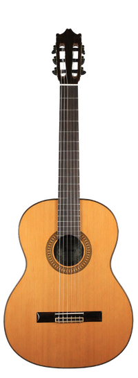 Ibanez - G500-NT