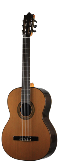 Ibanez - G500-NT