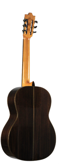 Ibanez - G500-NT