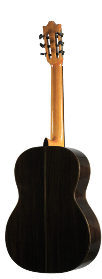 Ibanez - G500-NT
