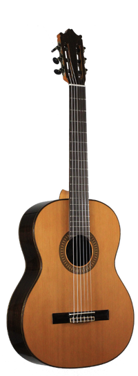 Ibanez - G500-NT