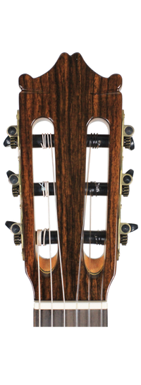 Ibanez - G500-NT