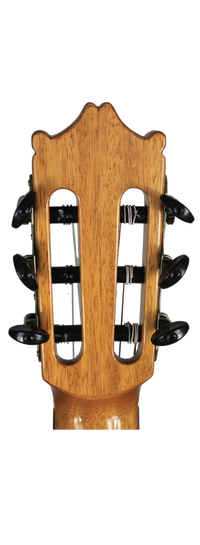 Ibanez - G500-NT