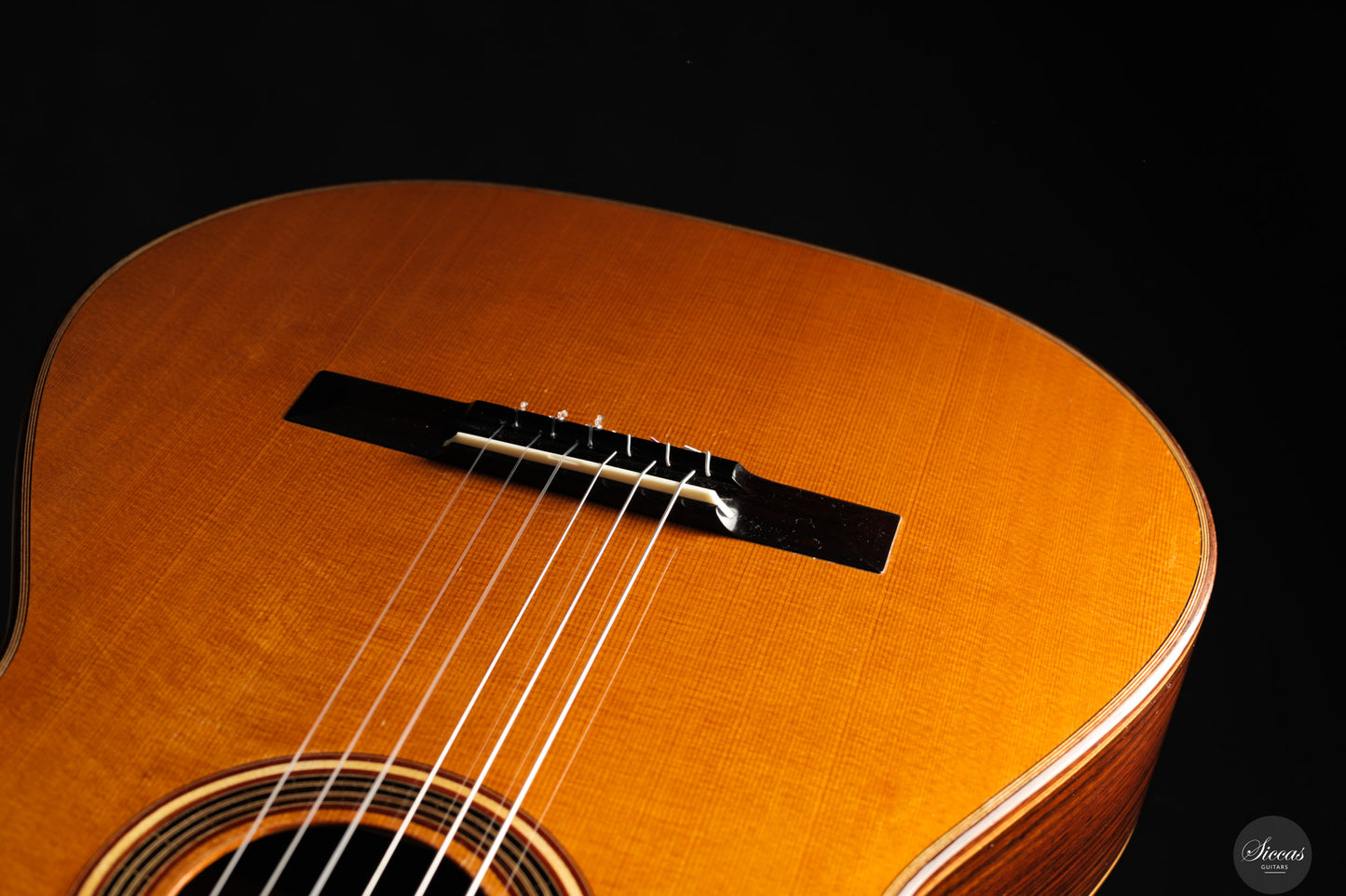 Jakob Lebisch - 2017