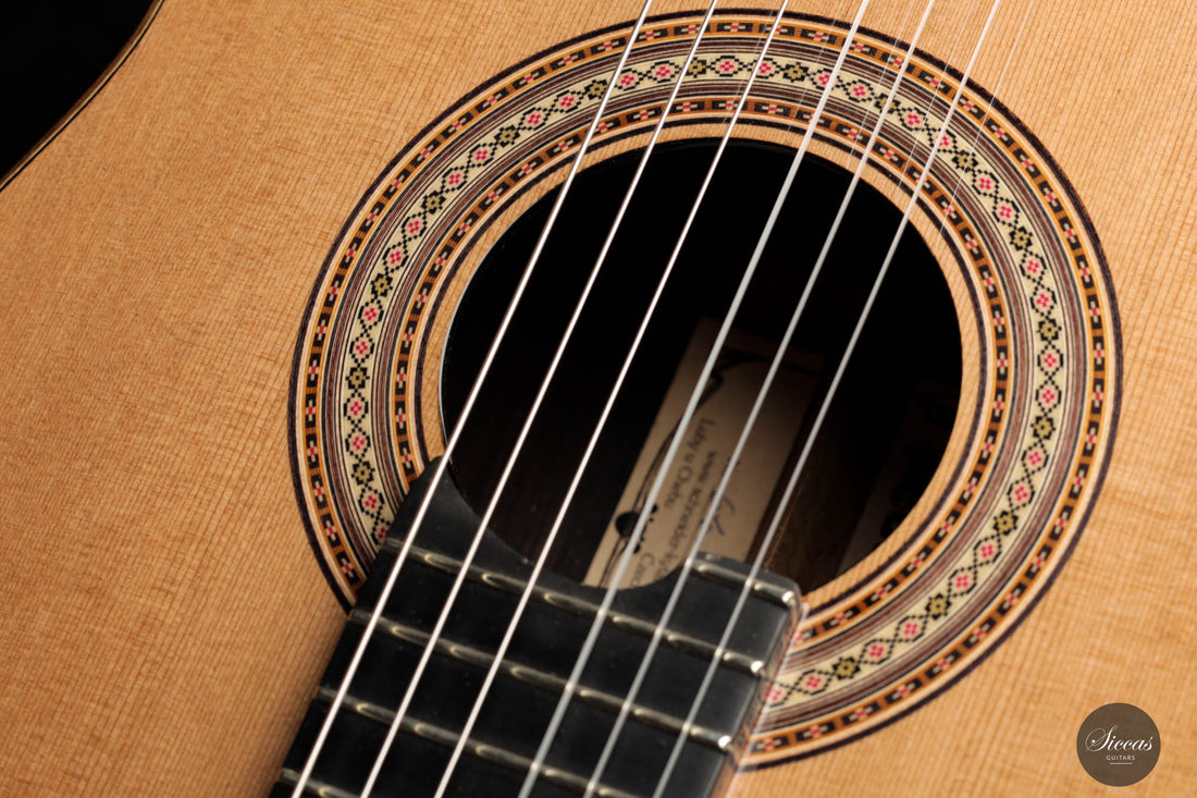 Jan Schneider – 2023 Cedar Doubletop Left-hand 64 cm