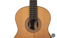 Jan Schneider – 2023 Cedar Doubletop Left-hand 64 cm