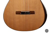 Jan Schneider – 2023 Cedar Doubletop Left-hand 64 cm