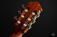 Jan Schneider - 2022 Doubletop No. 605 64 cm