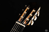 Jialan Chen - 2024 Coclea Thucea “Fibonacci” 64 cm