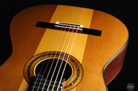 Jialan Chen - 2024 Coclea Thucea “Fibonacci” 64 cm