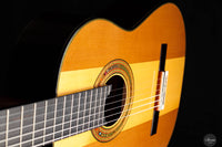 Jialan Chen - 2024 Coclea Thucea “Fibonacci” 64 cm