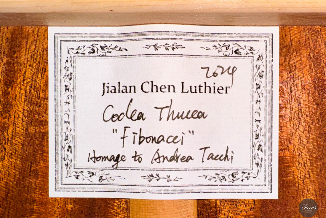 Jialan Chen - 2024 - Coclea Thucea “Fibonacci”